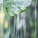 S promyšleným dešťovým programem šetříte peníze i životní prostředí