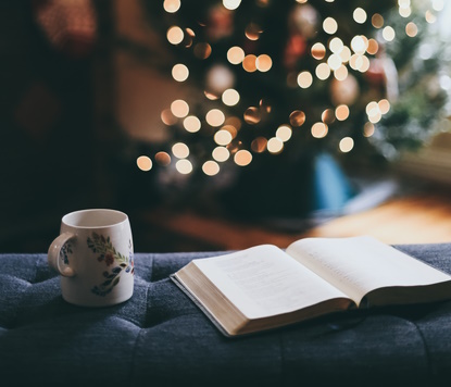 Vánoce s knížkou. Jaké knihy potěší pod vánočním stromečkem?