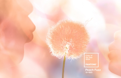Sametová broskvová. Peach Fuzz jako barva roku 2024