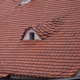 Dlouhodobá ochrana proti mechu na střechách