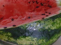 V tropických vedrech osvěží nejlépe meloun