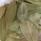 Dekorativní vavřín, nebo bobkový list? Záleží na úhlu pohledu